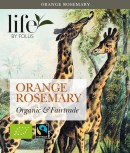 8528_Orange-rosemary-kuvert