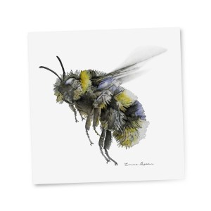 giftcard_bumblebee