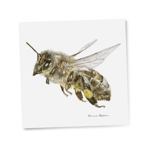 red_giftcard_honeybee