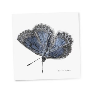 red_giftcard_bluebutterfly